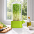 Germinator pentru Microplante cu Capac Transparent, Mini Sera pentru Cultivare Acasa, Suport de Crestere pentru Germeni,