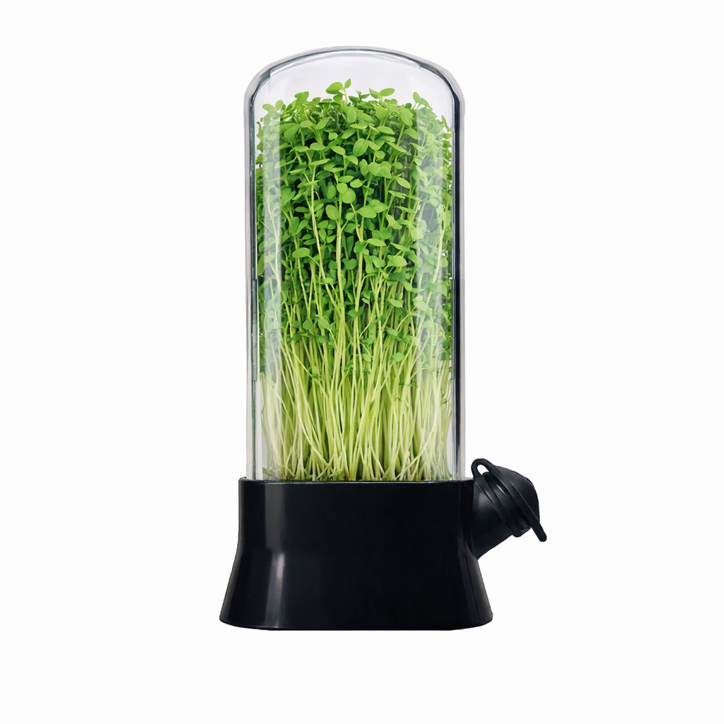 Germinator pentru Microplante cu Capac Transparent, Mini Sera pentru Cultivare Acasa, Suport de Crestere pentru Germeni,